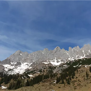An impressive mountain landscape with snow-capped peaks and green vegetation. The sky is clear and blue.