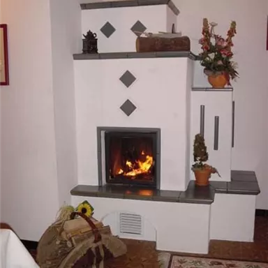 Ein gemütlicher Kamin in einem Haus mit Feuer im Ofen. Daneben stehen dekorative Pflanzen und ein traditioneller Stuhl.
