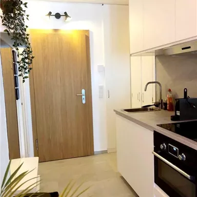 A modern kitchen with bright cabinets and an elegant countertop. On the wall, there is a wooden door and a small plant on the left side.