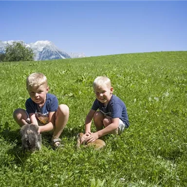 Zwei Jungen sitzen auf einer grünen Wiese und halten Kaninchen in den Händen. Im Hintergrund sind Bäume und Berge zu sehen.
