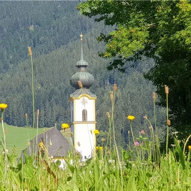 A picturesque landscape with an idyllic village and green meadows. In the background, a church tower and high mountains can be seen.