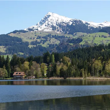 A beautiful mountain with a snow-covered peak stands over a tranquil lake. Surrounded by green hills and forests.