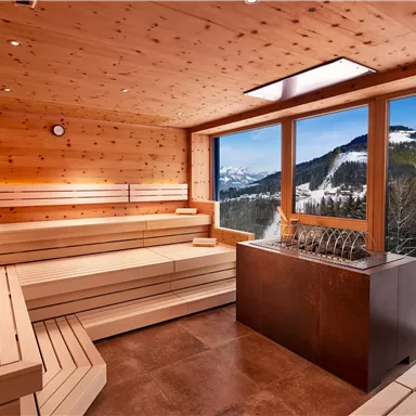 A modern sauna with wooden paneled walls and benches. Through large windows, there is a view of snow-covered mountains and forests.