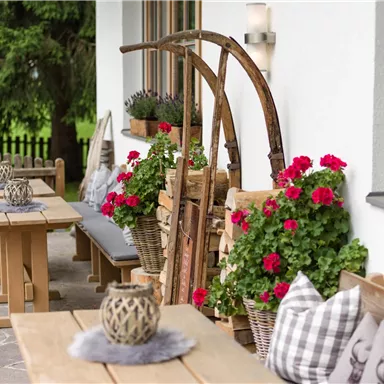 Eine gemütliche Terrasse mit Holztischen und bunten Blumen. Im Hintergrund sind traditionelle Dekorationen und gemütliche Kissen zu sehen.