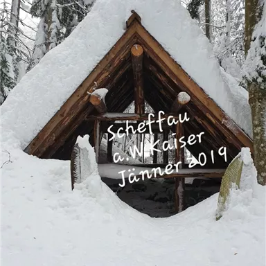 A small wooden cabin, covered in snow, surrounded by snow-covered trees. The atmosphere is calm and wintry.