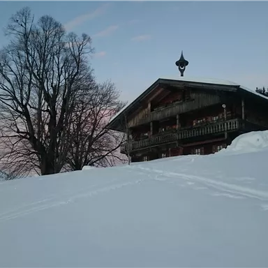 Evening atmosphere from the Köpfinghof Bergdokter in winter