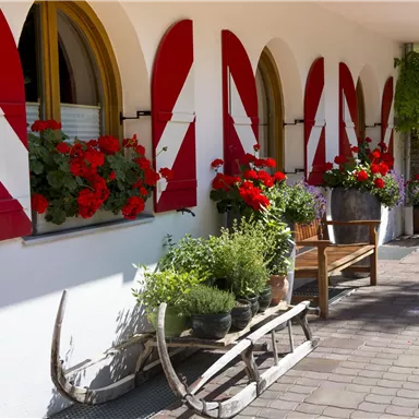 Ein charmantes Gebäude mit roten und weißen Fensterläden. Blumenkästen mit roten Blumen und eine Holzbank schaffen eine einladende Atmosphäre.