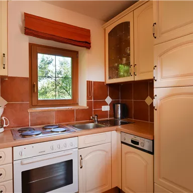 Eine helle Küche mit modernen Geräten und Holzschränken. Am Fenster sieht man eine grüne Aussicht.