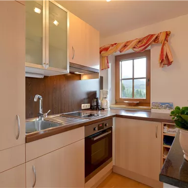 Eine moderne Küche mit hellen Holzschränken und einer großen Fensterfront. Sie ist gut ausgestattet mit einem Herd, einer Spüle und einer Pflanze auf der Arbeitsplatte.