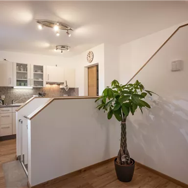 A modern kitchen with a refrigerator, bright cabinets, and a plant in the corner. The room is well-lit and has a pleasant wooden floor.