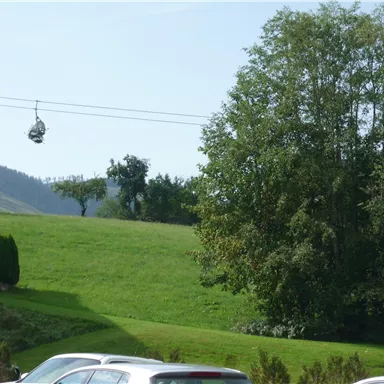 A green meadow with trees and a cable car nearby. The sky is clear and blue.