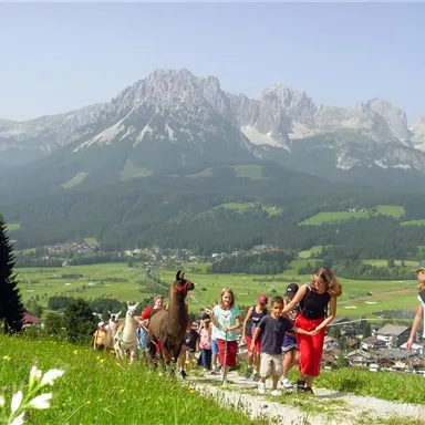 Eine Gruppe von Menschen wandert auf einem Weg durch die Berge. Im Vordergrund sind Lamas und Kinder zu sehen, während die beeindruckende Berglandschaft im Hintergrund strahlt.