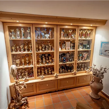Eine Vitrine voller Pokale und Auszeichnungen steht im Raum. Sie ist beleuchtet und zeigt eine Vielzahl von Trophäen in verschiedenen Größen.