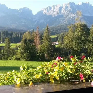 A picturesque view of the mountains with green meadows and colorful flowers in the foreground. The sky is clear and nature emanates tranquility.