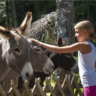 Ein Mädchen streichelt ein Esel mit einem freundlichen Blick. Im Hintergrund sind weitere Esel und eine natürliche Umgebung zu sehen.