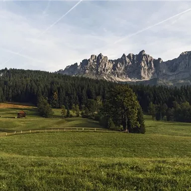 A picturesque meadow landscape with green meadows and dense forests. In the background, impressive mountains rise under a clear sky.