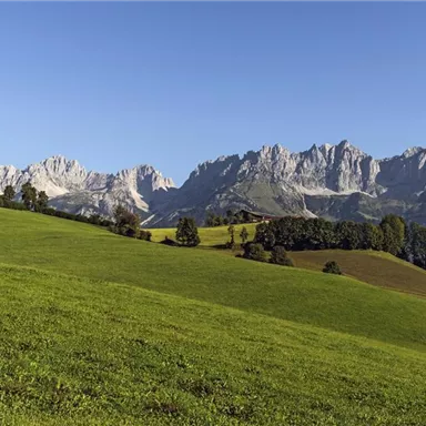 Eine malerische Landschaft mit grünen Wiesen und majestätischen Bergen im Hintergrund. Der Himmel ist klar und strahlend blau.