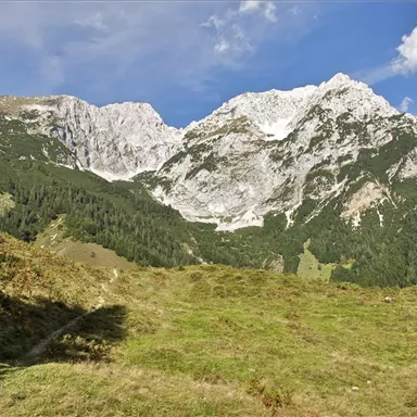 Eine beeindruckende Gebirgslandschaft mit hohen, schneebedeckten Gipfeln und grünen Wiesen im Vordergrund. Der Himmel ist klar mit einigen Wolken.