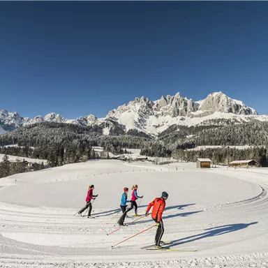Eine Gruppe von Skilangläufern bewegt sich auf einer verschneiten Strecke. Im Hintergrund sind beeindruckende Berge und ein klarer blauer Himmel zu sehen.