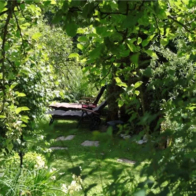 Ein grüner Garten mit vielen Bäumen und Pflanzen. Im Hintergrund ist eine kleine Sitzgelegenheit zu sehen.
