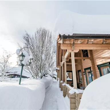 A wooden house under a large blanket of snow, surrounded by snow-covered trees. The sun shines through the clouds, creating a wintry, tranquil atmosphere.