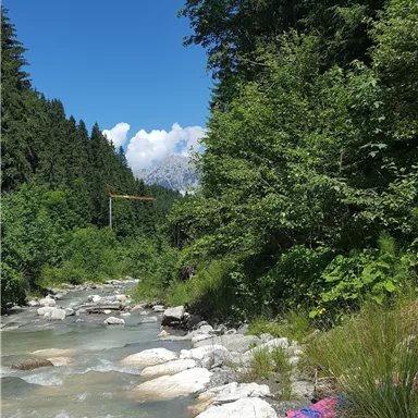 Ein klarer Fluss fließt durch eine grüne Landschaft mit Bäumen und Felsen. Der Himmel ist blau und es sind einige Wolken sichtbar.