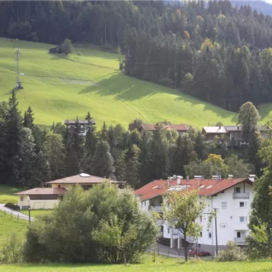 Eine malerische Landschaft mit grünen Hügeln und dichten Wäldern. Im Vordergrund befinden sich einige Häuser, umgeben von Bäumen und Wiesen.
