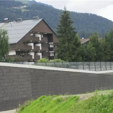 A modern building with a wooden facade surrounded by trees. In the background, mountains and a cloudy sky are visible.