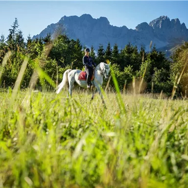 A person is riding a white horse in a green meadow. In the background, mountains and blue sky can be seen.