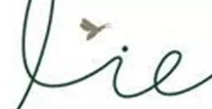 A stylish logo for "Wies Deluxe Apart". It features elegant lettering and a simple design.