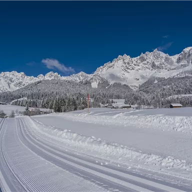 Eine verschneite Landschaft mit beeindruckenden Bergen im Hintergrund. Der klare blaue Himmel ergänzt die winterliche Szenerie.