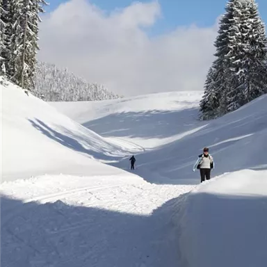 Eine schneebedeckte Landschaft mit hohen Bäumen und einem klaren Himmel. Zwei Personen wandern durch das verschneite Tal.