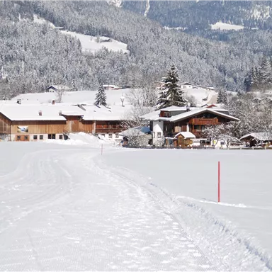 A snowy landscape with a farmhouse in the background. The surroundings are calm and idyllic, surrounded by snow-covered trees.