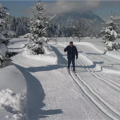 Eine verschneite Landschaft mit Ski-Loipen und Tannenbäumen. Ein Mann fährt mit Skiern durch die verschneite Umgebung.