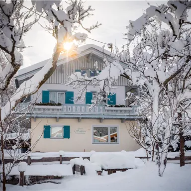 A charming house in the snow, surrounded by snow-covered trees. The sun shines through the branches, giving the winter landscape a warm glow.
