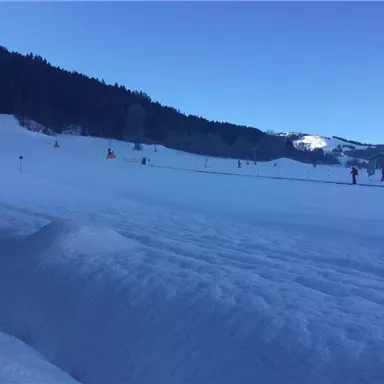 Eine verschneite Landschaft mit vielen Skifahrern und einem klaren blauen Himmel. Im Hintergrund sind Berge und Wald zu sehen.