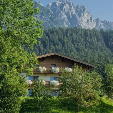 A cozy house in nature, surrounded by trees and meadow. In the background, majestic mountains rise under a clear blue sky.