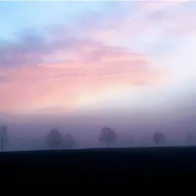 A misty landscape with scattered trees in the foreground. The sky is tinted in gentle shades of pink and blue.