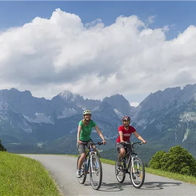 Two cyclists are riding on a path through a picturesque landscape. In the background, impressive mountains and a clear sky can be seen.