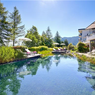 A beautiful pool surrounded by green plants and sun loungers. In the background, trees and a bright sky can be seen.