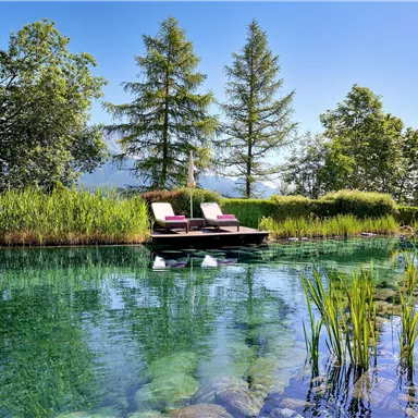 A quiet pond surrounded by green trees and grass. Relaxed loungers invite you to linger.