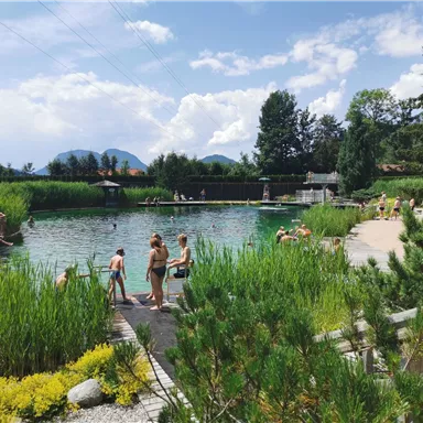 A natural swimming pool with clear water and plenty of greenery. People enjoy the sun and the surroundings.