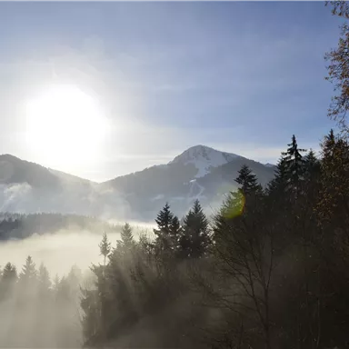 Eine malerische Berglandschaft mit nebelumhüllten Wäldern und schneebedeckten Gipfeln. Die Sonne scheint hell über die Berge.