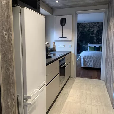 A modern kitchen with a refrigerator and an elegant kitchen unit. In the background, a bedroom with a green ceiling can be seen.