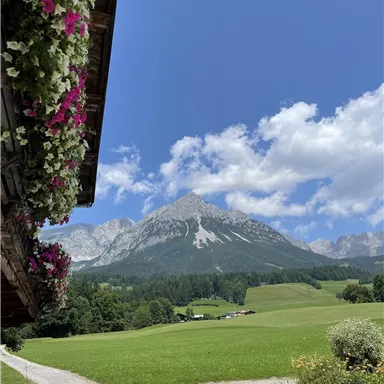 Ein malerischer Blick auf die Berge mit grünen Wiesen und einem klaren blauen Himmel. Bunte Blumen schmücken den Vordergrund.