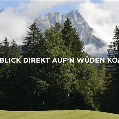 Eine malerische Aussicht auf hohe Berge, umgeben von dichten Wäldern. Der Himmel ist klar mit einigen wenigen Wolken.