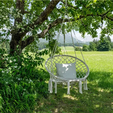 Eine gemütliche Hängematte hängt an einem Baum in einer grünen Wiese. Im Hintergrund sind sanfte Hügel und Bäume sichtbar.