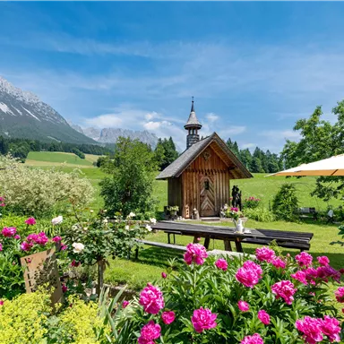 Eine wunderschöne Landschaft mit bunten Blumen und einer kleinen Kapelle. Im Hintergrund sind Berge und ein klarer blauer Himmel zu sehen.