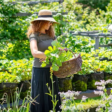 Eine Frau mit einem Hut steht in einem Garten und hält einen Korb mit frischen Pflanzen. Der Garten ist üppig und grün, mit vielen Pflanzen und Blumen.