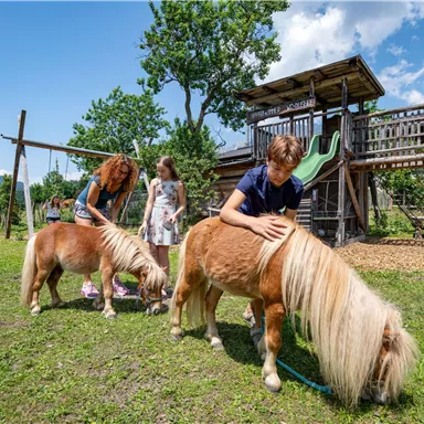 Zwei Kinder streicheln Mini-Ponys auf einer grünen Wiese. Im Hintergrund sind ein Spielplatz und Bäume zu sehen.